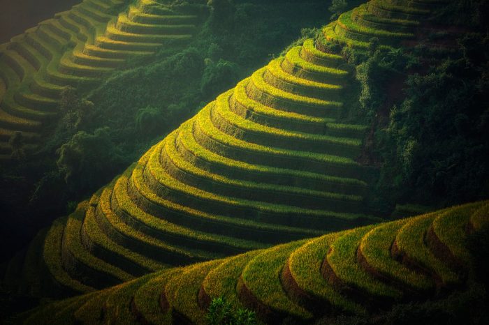 -Vietnam A Fondo y Camboya